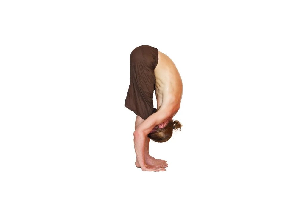 Padahastasana - Hand to Foot Pose