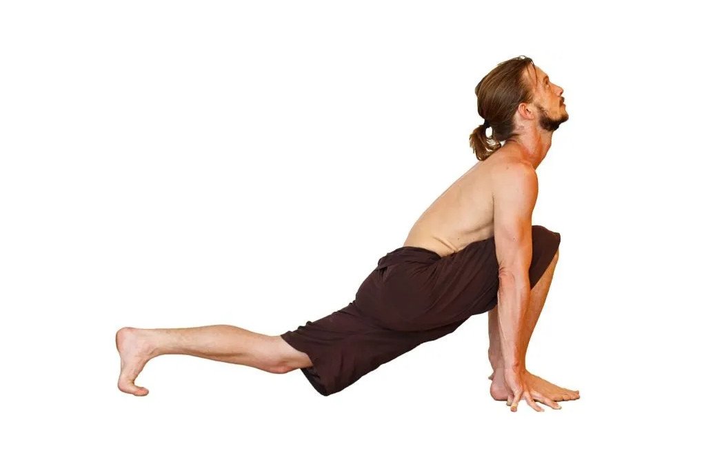 sun salutation step 4 ashwa sanchalanasana equestrian pose